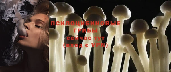 мдпв Верхний Тагил