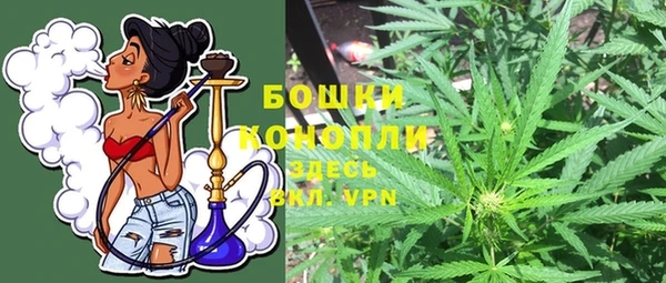 индика Покров