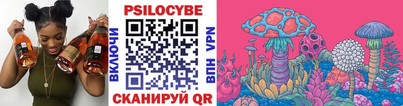 Псилоцибиновые грибы Psilocybe  Георгиевск 