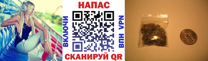 Бошки марихуана SATIVA & INDICA  mega сайт  Георгиевск 